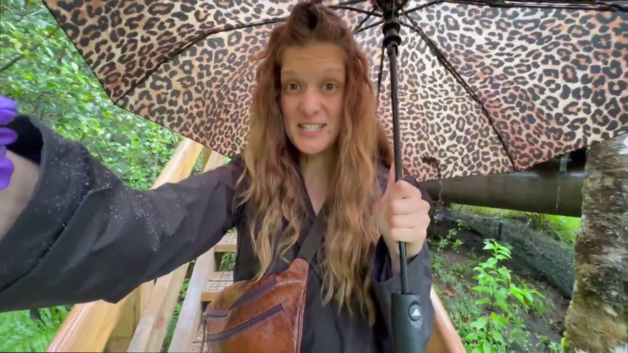 A rainy day hike to Omanawa Falls 🇳🇿