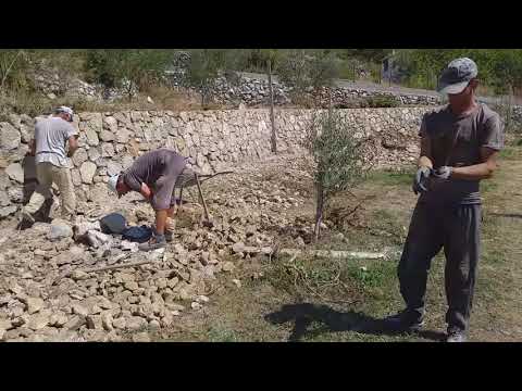 Medja Moracino 1 23 08 2020