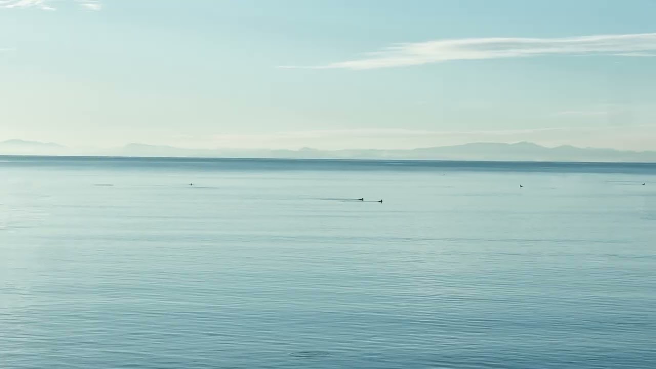 Ethereal Music and Calming Harbor for Deep Sleep, Study Focus, Meditate, Chill