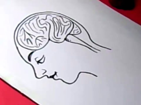How to FEMALE BRAIN Drawing For Kids step by step YouTube How to FEMALE BRAIN Drawing For Kids step by step YouTube