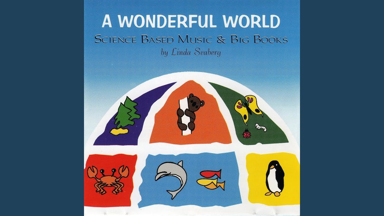 A Koala Is Not A Bear YouTube