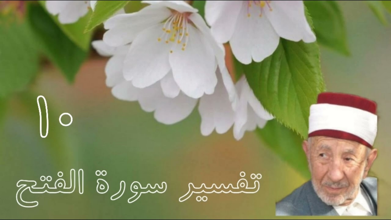 تفسير سورة الفتح (إذ جعل الذين كفروا في قلوبهم الحمية حمية الجاهلية فأنزل الله سكينته .....)