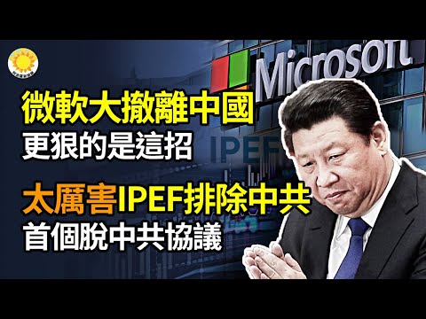 ?【财经】微软将AI专家撤离中国，更狠的是这招；IPEF的设计排除了中共！首个脱中共供应链协议太厉害；被设局填坑！中国500强民企遭民生银行套路贷，被捅至最高法