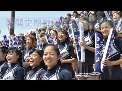 2016年　関西大学女子ラクロス同好会　新歓PV②
