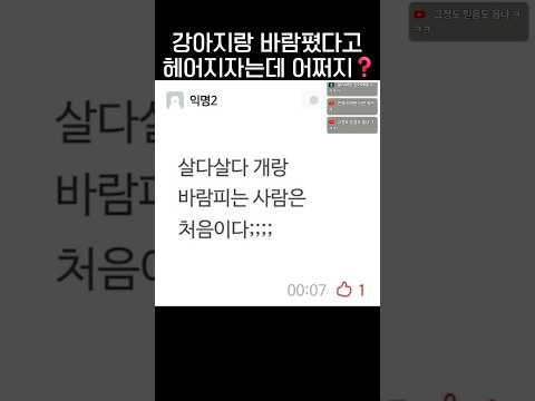 개랑 바람피워서(?) 이별당한 남자🥀.jpg thumbnail