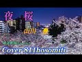 夜桜  山川豊 Cover細道  作詞 吉田旺 作曲 徳久広司