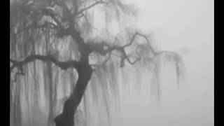 Cavid Qasımov - Bəxtim