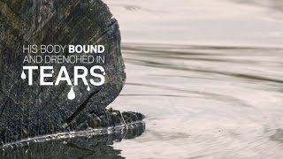 Prachtige Beelden Bij Paaslied O Praise The Name