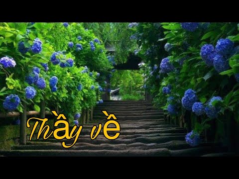 Nhạc Phật Giáo Tuyển Chọn