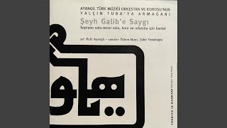 Ey dil, ey dil, niye bu rütbede pür gamsın sen - Ayangil Turkish Music Orchestra and Chorus