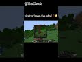 Must of been the wind 🥀 😭 #nobatidao  #minecraft  #viral  #funny  #skit