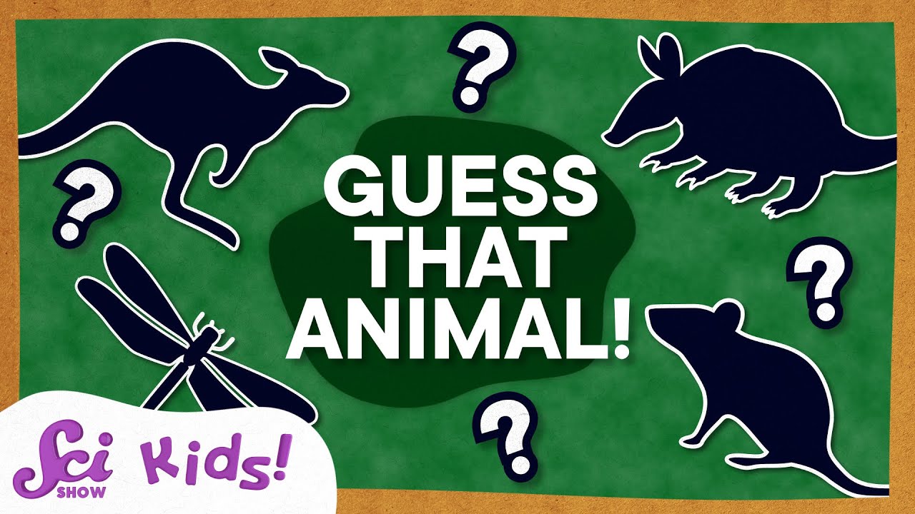 Animal Guessing Game! | Compilation | SciShow Kids - YouTube