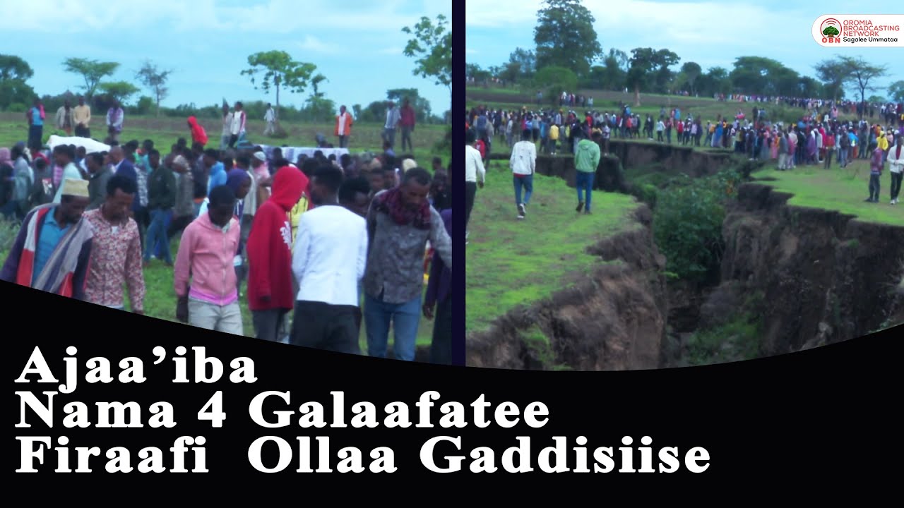 Taatee Ajaa'ibaa namoota 4 galaafate