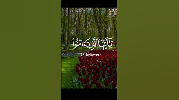 إنّ الله وملائكته يصلون على النبي🌹 #تلاوةخاشعة #قرآن_كريم
