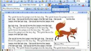 AM 3.2.1.1 - 3 Captions in Microsoft Word 2003