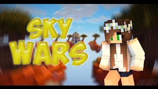 SkyWars #5 (Team)