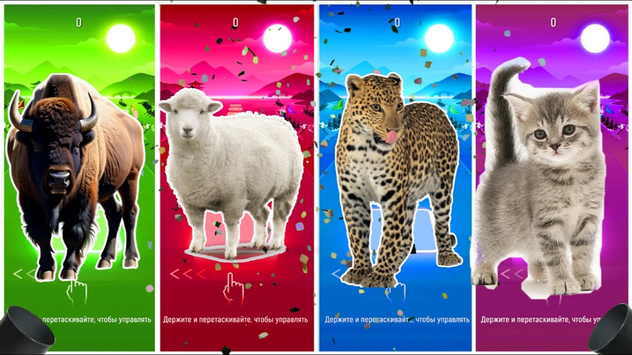 Funny Cow 🆚 Funny Cheetah 🆚 Funny Tom 🆚 Funny Sheep 🆚 🎶 Tiles Hop 