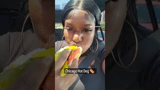 Best Hot Dog In Chicago @portilloshotdogs #Chicago #chicagofood #hotdog #new like and subscriber
