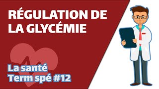 Régulation de la glycémie - SVT - SANTÉ Term spé #12 - Mathrix