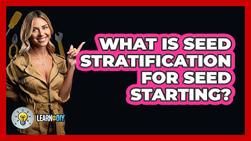 What Is Seed Stratification For Seed Starting? - LearnToDIY360.com