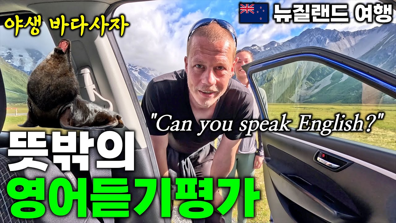 뉴질랜드 히치하이킹 | 야생 바다사자를 만날 수 있는 곳 - 더니든, 뉴질랜드 | 호주&뉴질랜드 여행[17]