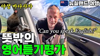 뉴질랜드 히치하이킹 | 야생 바다사자를 만날 수 있는 곳 - 더니든, 뉴질랜드 | 호주&뉴질랜드 여행[17]