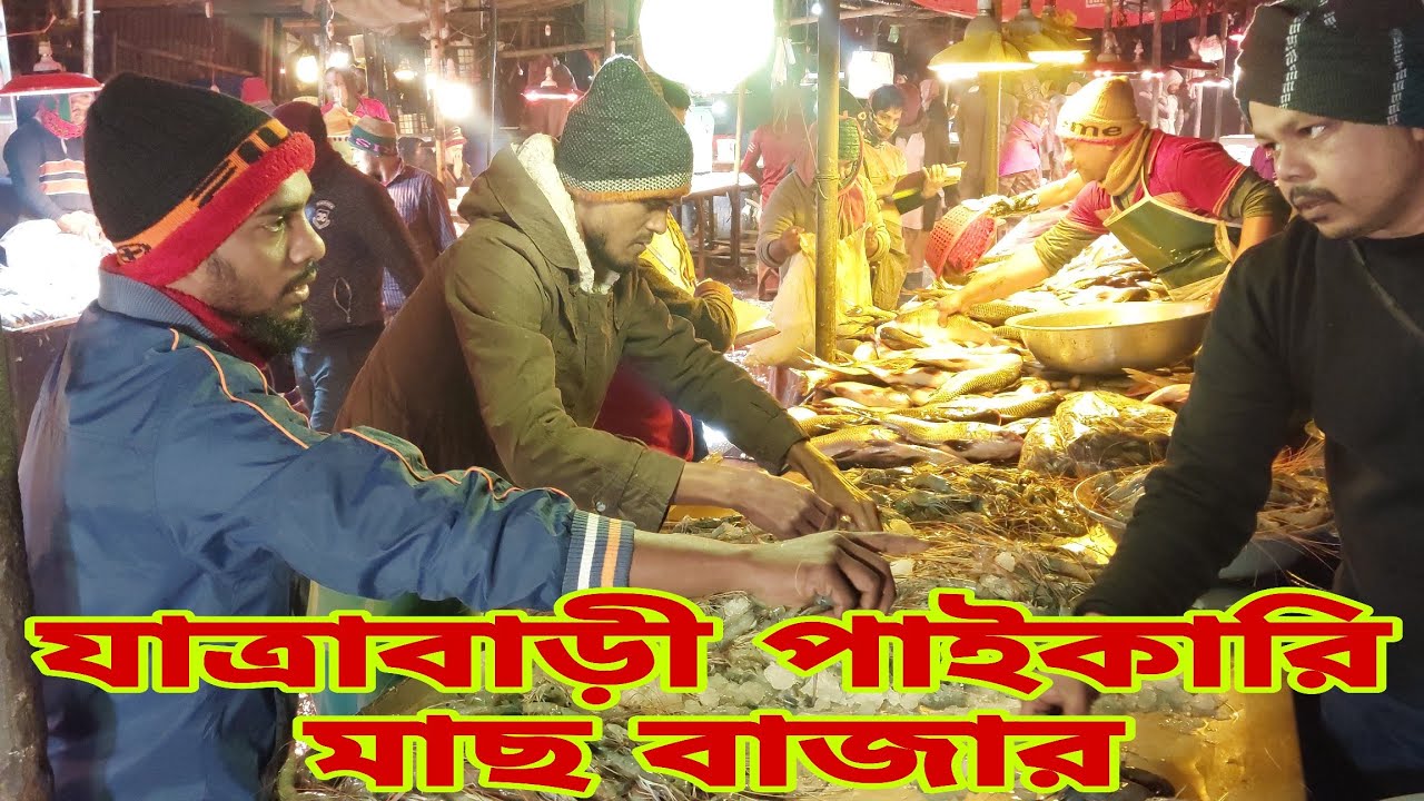 দেশের সবথেকে বড় একটি পাইকারি মাছের বাজার / Fish Market & Fish Price 7 January 2026 || My Life