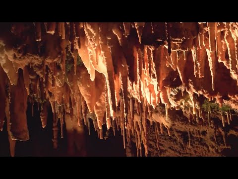 A look inside Cosmic Caverns in Berryville, Arkansas