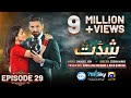 Shiddat episode 29 eng sub muneeb butt  anmol baloch  digitally presented by pel  13th may 2024