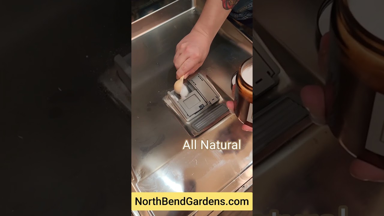 PURE BLEND Dishwasher Powder
