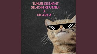 Timur Ke Barat Selatan Ke Utara X Pica Pica