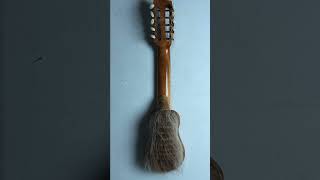 I found the strangest instrument at the thrift shop!