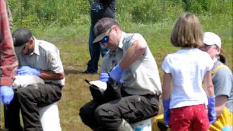 Community helps in DNR wildlife management effort ...