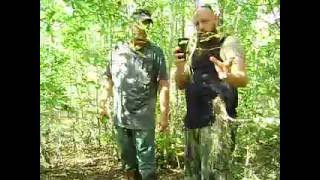 Florida Skunk Ape Project report