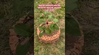 Genius DIY Raised Planter: Upcycle an Old Tire into a Stunning Garden Bed! #garden #gardening #tips