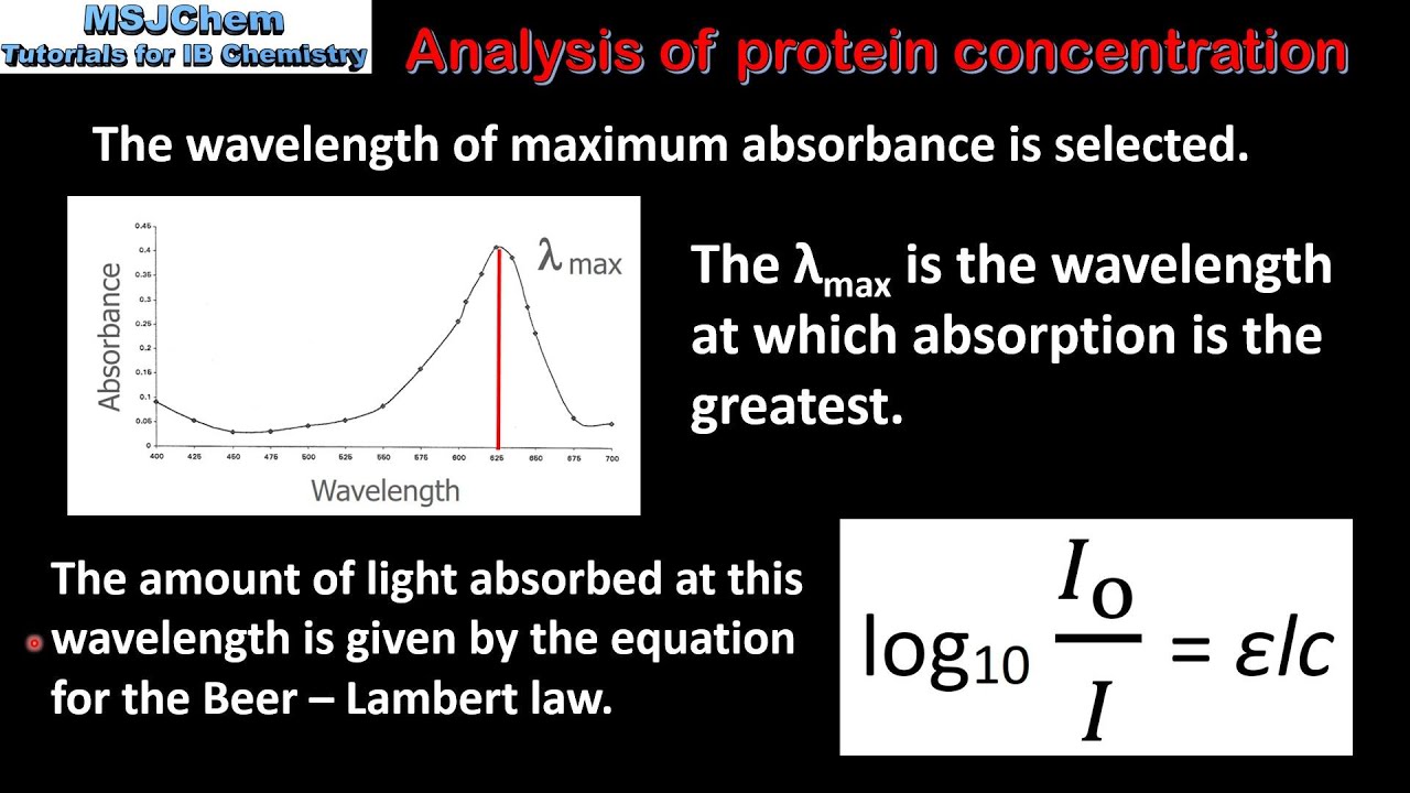 B 7 Analysis Of Protein Concentration Hl Youtube