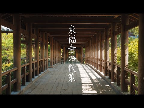 東福寺の散策 : Walking Around Tōfuku-ji Temple（Kyoto, Japan）