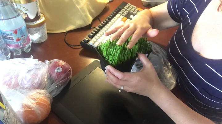 ASMR Grocery Store Roleplay