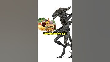 What Do Xenomorphs Eat for thier Survival? #shorts #Viral