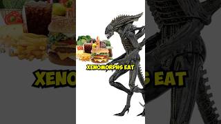 What Do Xenomorphs Eat for thier Survival? #shorts #Viral