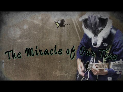 映像編集で、したい演出付けできます YouTube用やアルバム用に
