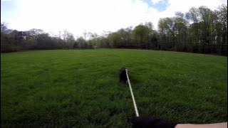 Wk 3 FT1 Track 3 042015