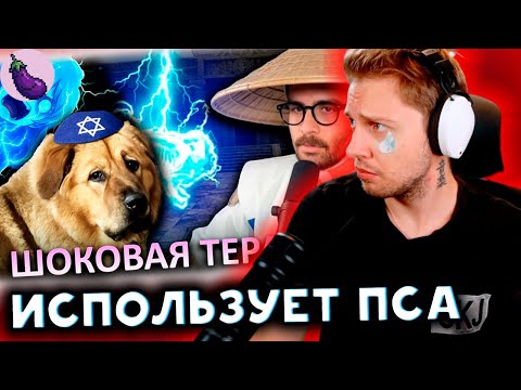 СТИНТ СМОТРИТ: ХАССАН ШОКИРОВАЛ ВЕСЬ ИНТЕРНЕТ(и свою собаку) || CLOWNWAY