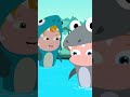 Five Hungry Sharks #trending #viral #shorts #ytshorts #cartoon #kidsvideos #umiuzi