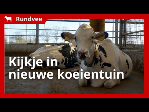 Miniatuur van productvideo