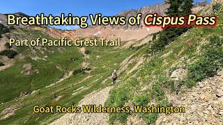 Captivating Cispus Pass Scenery: A Visual Journey | Silent ASMR Hiking