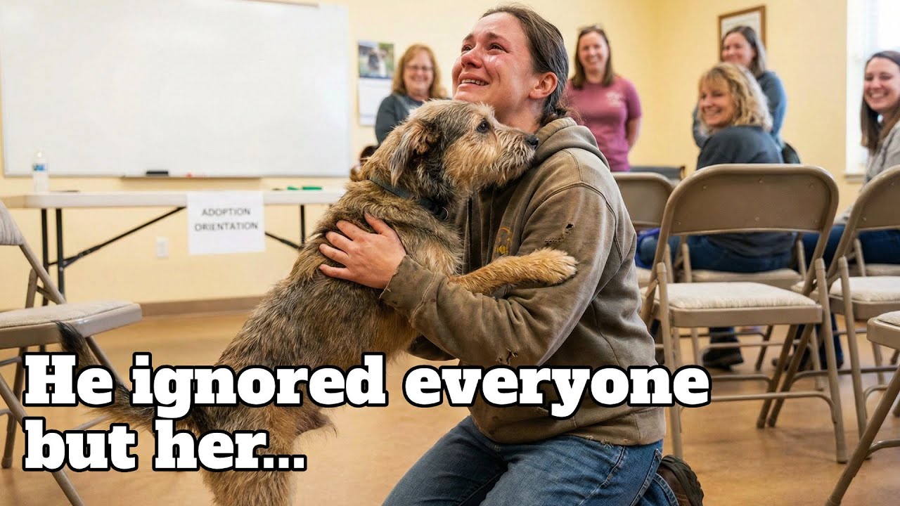 Watch The Moment This Dog Chooses His Person🐾❤️