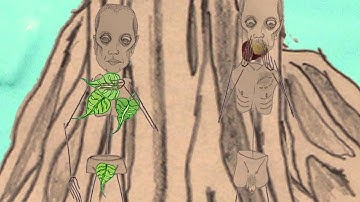 WIRES.UNDER.TENSION - "LANDSCAPE ARCHITECTURE" (OFFICIAL MUSIC VIDEO)