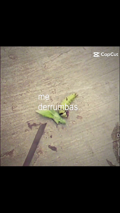 Download lagu Impacto