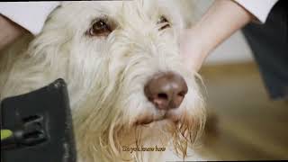Is Your Pets Food a Hidden Danger Uncover the Risks of Diabetic Diets and Save Their Health